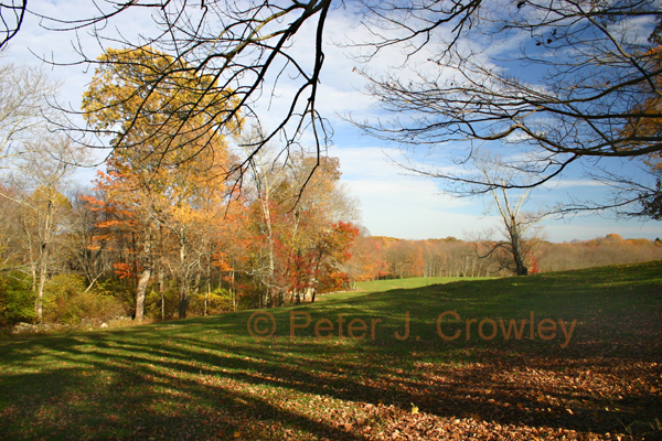 MontvilleLandscapeFall-D-63-09-34