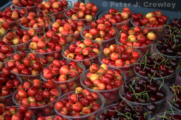 Cherries Olympia Farmers Market-6-20-13-040