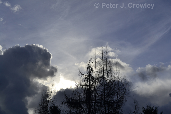 _DSC0174 12-12-14 Clouds and trees
