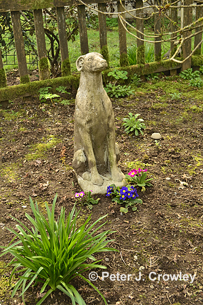 _DSC0247 Dog Statue With Flowers S30 3-10-15