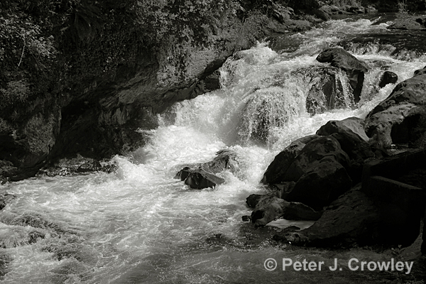 Deschutes River at Tumwater Falls 6/16/15