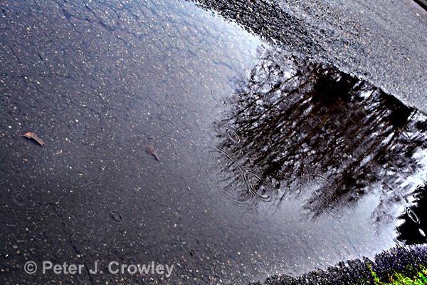 DSC_0247 S 150 B+2 Cnst +100 Puddle HC Abstract 12-28-15