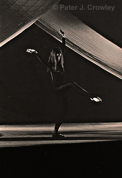 CDT Conn. Dance Theater The Web Mary M. Giannone